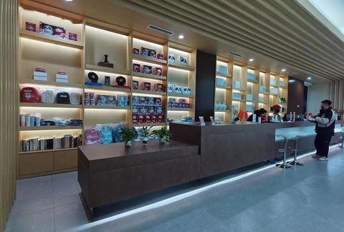 太原日用家電零售中輕松擁有專屬冰墩墩的方法